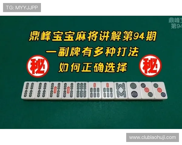 掌握麻将大全电子书中的经典牌型与策略提升你的麻将水平轻松应对各种牌局挑战